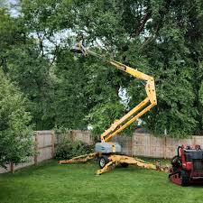 Best Lot and Land Clearing  in North Royalton, OH