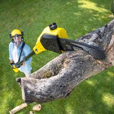 Best Lawn Mowing  in North Royalton, OH